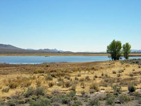 Key Pittman Wildlife Management Area