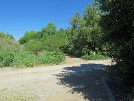 Warm Springs Natural Area