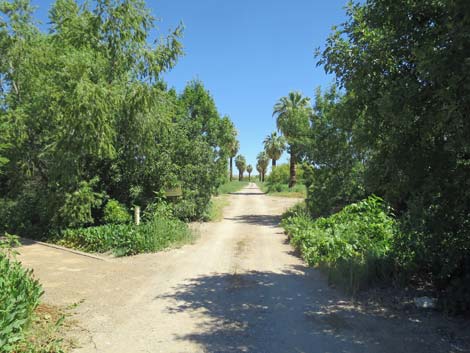 Warm Springs Natural Area