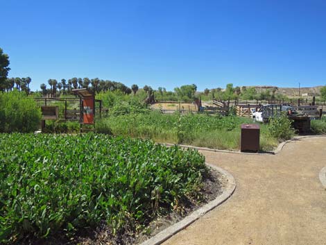 Warm Springs Natural Area