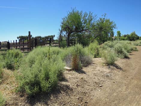 Warm Springs Natural Area