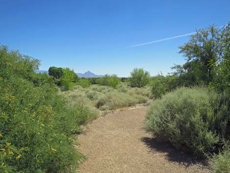 Warm Springs Natural Area