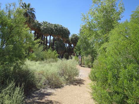 Warm Springs Natural Area