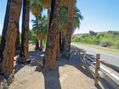 Warm Springs Natural Area