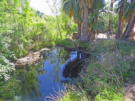 Warm Springs Natural Area