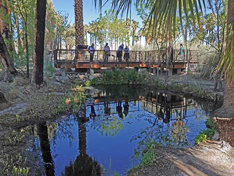 Warm Springs Natural Area