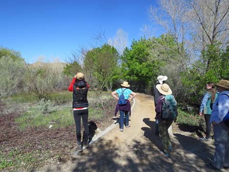 Warm Springs Natural Area