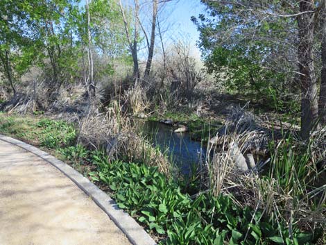 Warm Springs Natural Area