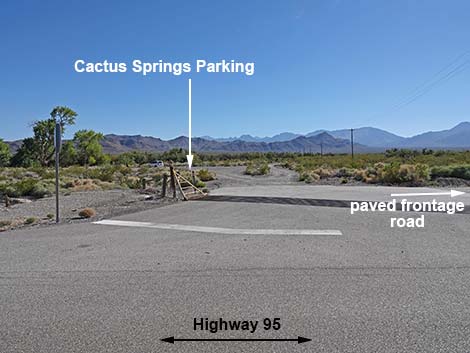 Cactus Springs