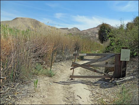 China Ranch