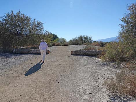 Furnace Creek