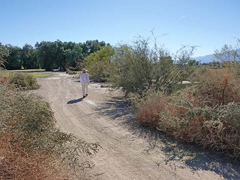 Furnace Creek