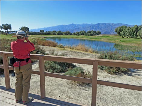 Furnace Creek