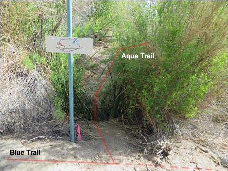 Aqua Birding Trail