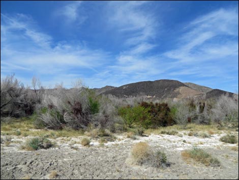 Aqua Birding Trail