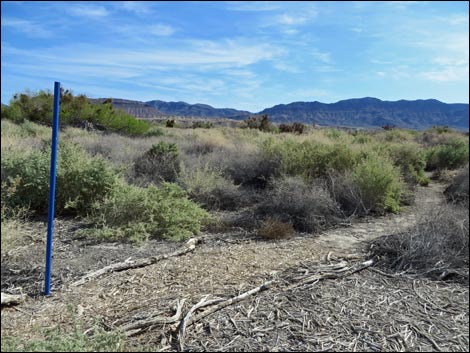 Blue Birding Trail