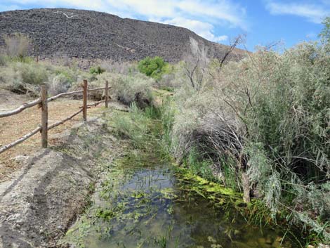 Swimming Pool Trail