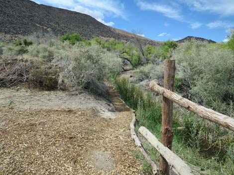 Swimming Pool Trail