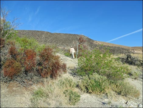 Swimming Pool Trail