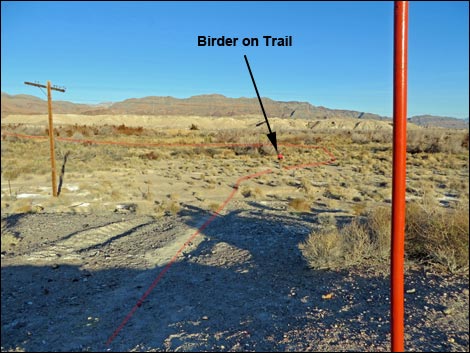 Shoshone Red Birding Trail