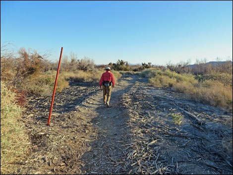 Shoshone Red Birding Trail