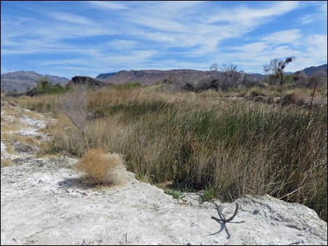 Red Birding Trail