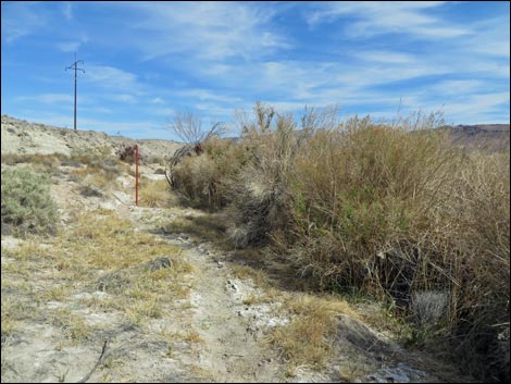 Red Birding Trail