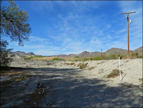 Shoshone White Trail