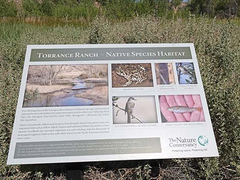 Torrance Ranch