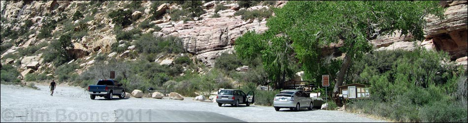 Birding Around Red Rock Canyon