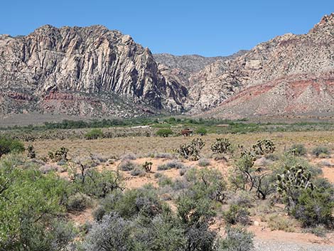 Spring Mountain Ranch State Park