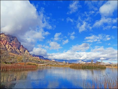 Spring Mountain Ranch State Park