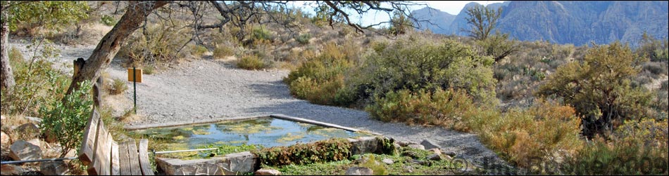 Red Rock Canyon NCA, White Rock Spring