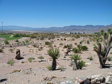 Boulder City Veterans Memorial Park