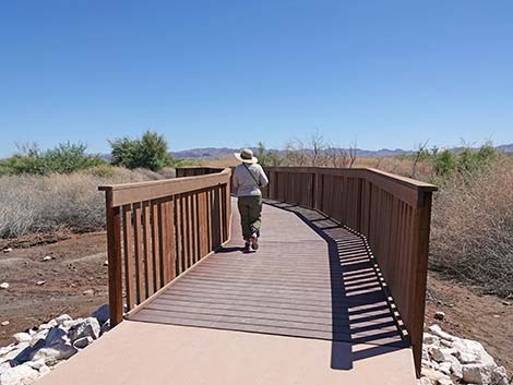 Duck Creek Trails