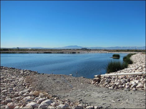 Duck Creek Trails