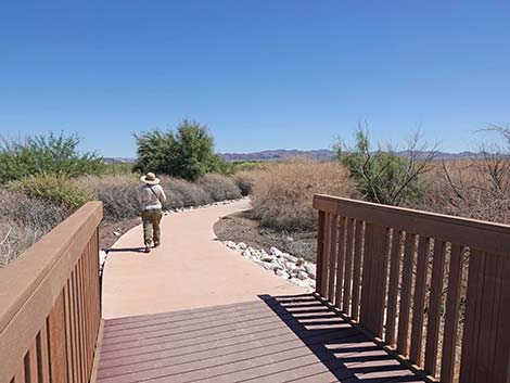 Duck Creek Trails