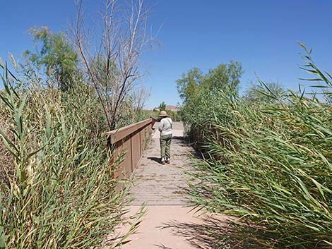 Duck Creek Trails