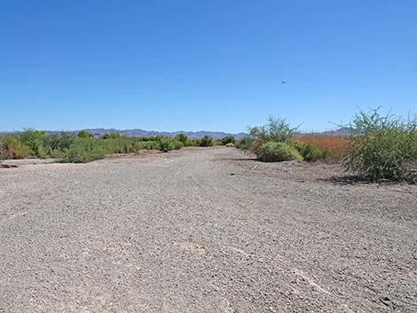 Duck Creek Trails