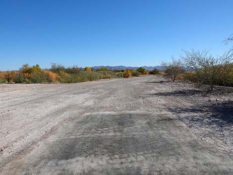 Dragonfly Divide Trail