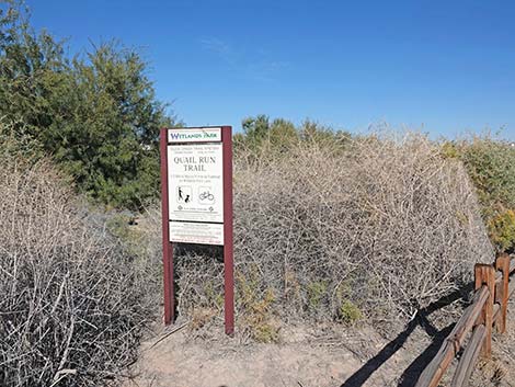 Quail Run Trail