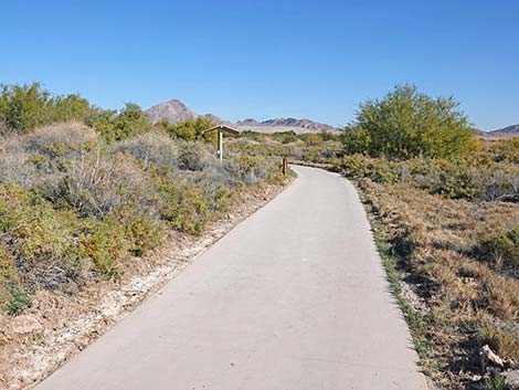 Quail Run Trail