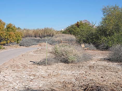 Quail Run Trail