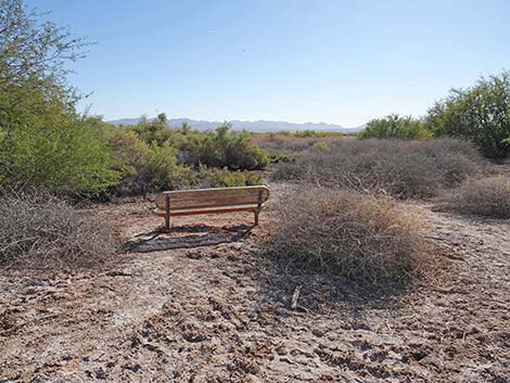 Quail Run Trail