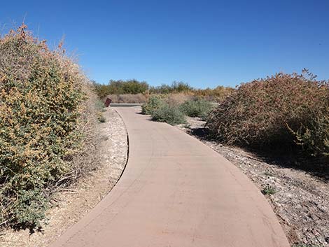 Quail Run Trail