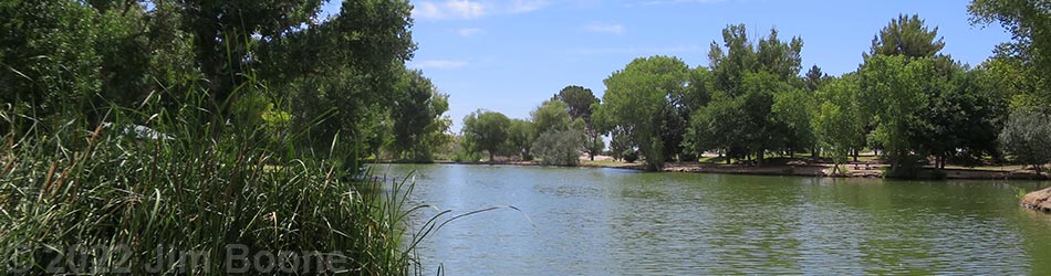 Birding Around Floyd Lamb Park at Tule Springs