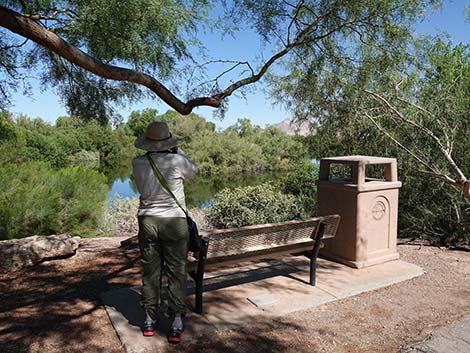 Henderson Bird Viewing Preserve