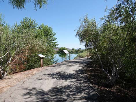 Henderson Bird Viewing Preserve