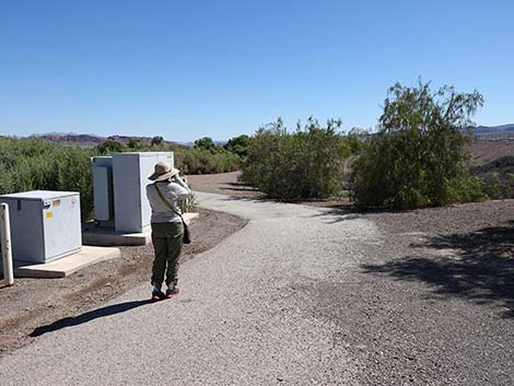 Henderson Bird Viewing Preserve