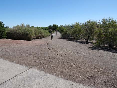 Henderson Bird Viewing Preserve